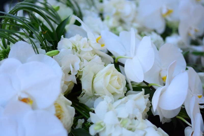Wedding of Mohammad and Ayah